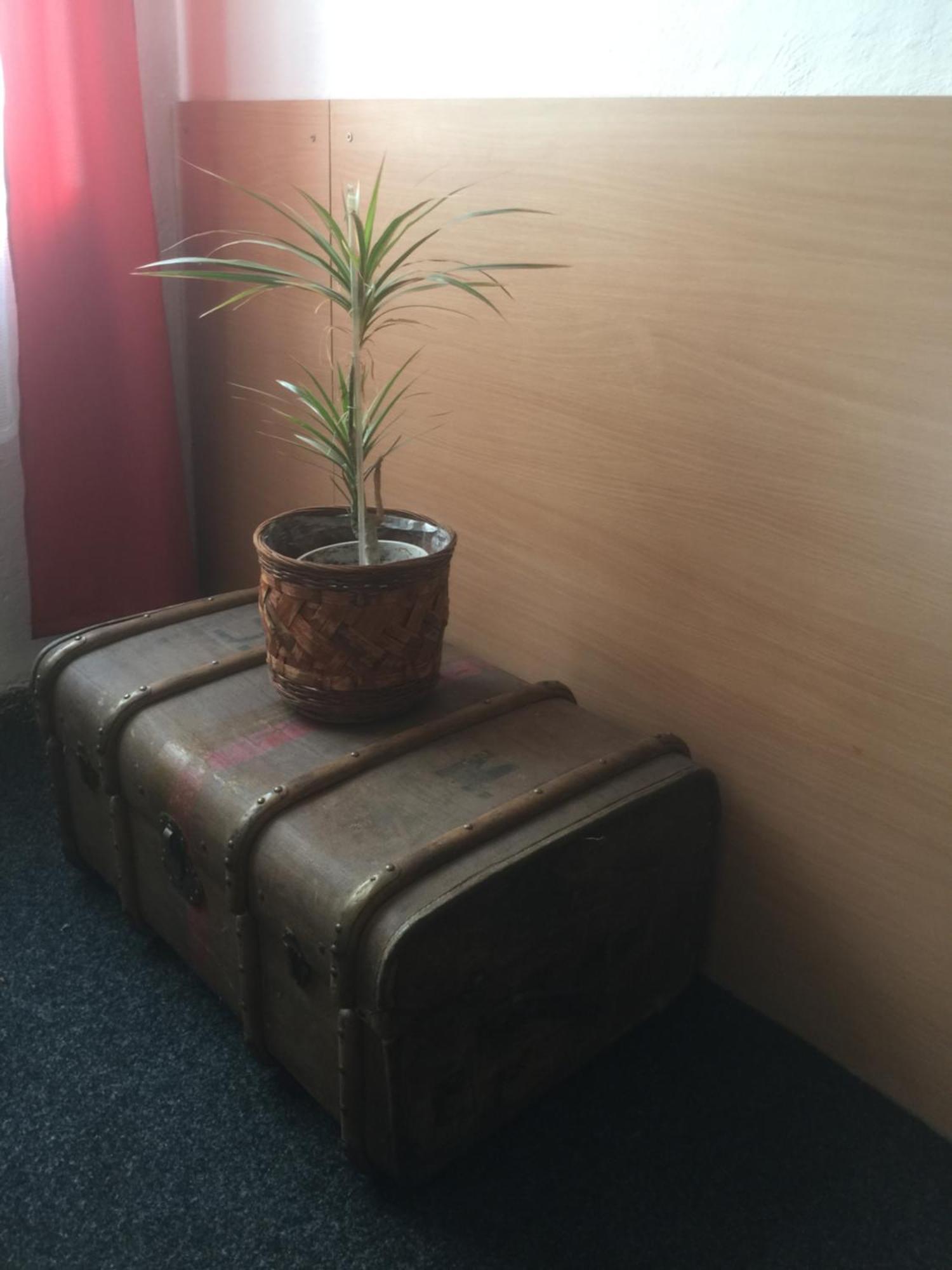 Hotel Dvorak Chrast (Chrudim) Bagian luar foto